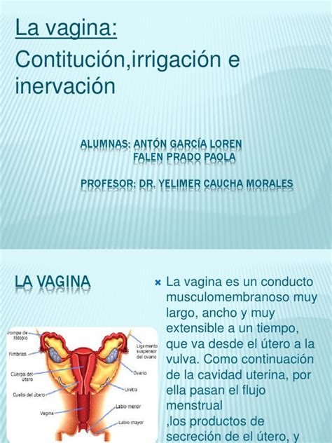 fotos de la vaginas